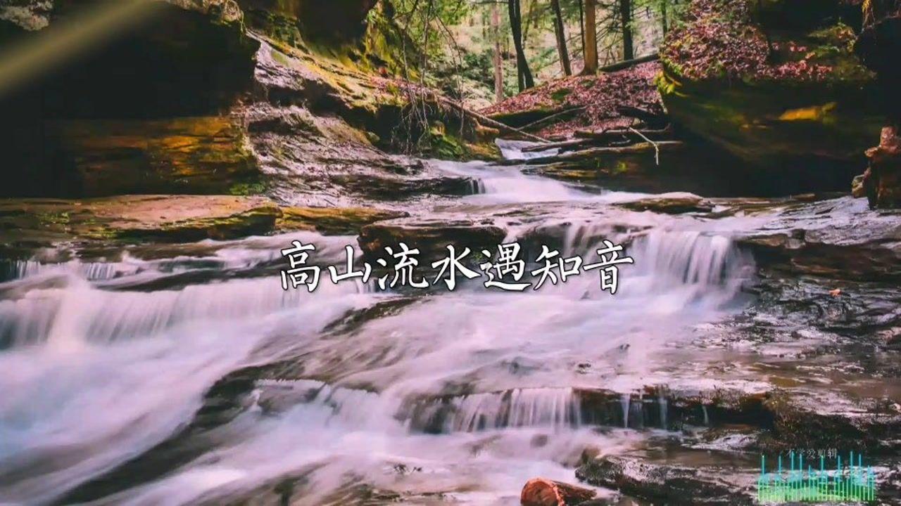 果冻分裂